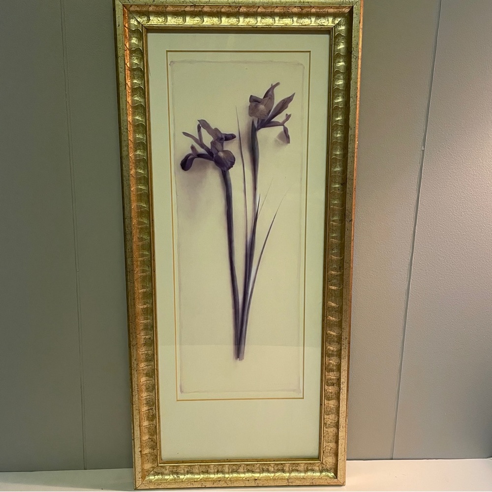 Sandra Wampler Offset Irises Gold
Framed Art Print Photography
1999 10"x22"